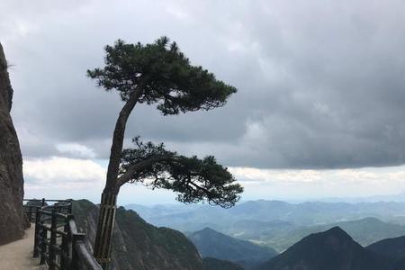 包含山和松比较好的成语