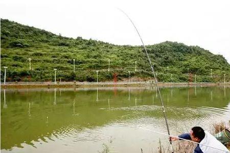 夏刮西北风钓深还是钓浅