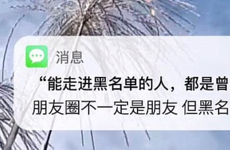 过往不与新人讲什么意思