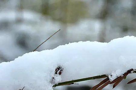 瑞雪迎春到下一句是什么