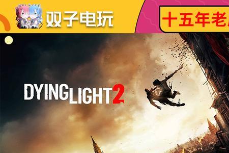 dyinglight1闪退