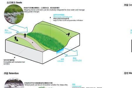 河岸缓冲带是什么