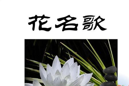 1~12月的花歌名。