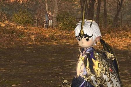 ff14 禁断是什么