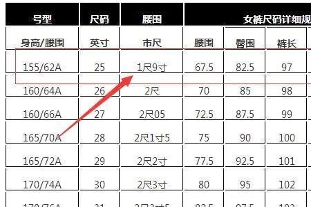 150腰围尺码表