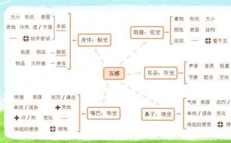 五感法写水果150字