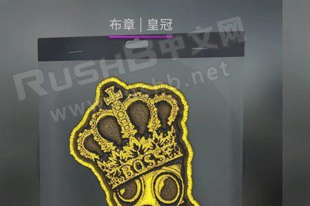 csgo探员布章移除还能再贴吗