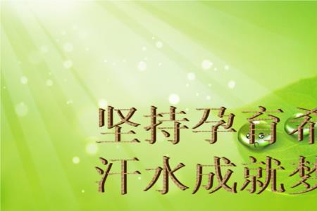 坚持梦想是什么意思