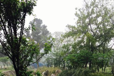 一年四季雨后的水都流通哪里