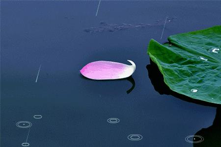 愁生天际雨落时什么意思