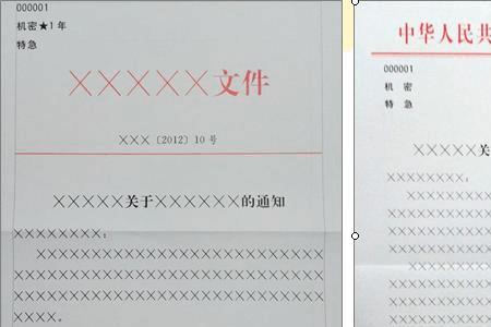 公文的种类按载体形式分有几种