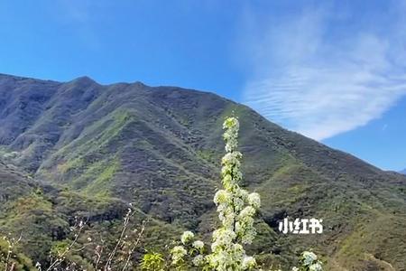 山野千里后面一句是什么