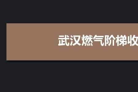 武汉燃气公司用气量如何查询