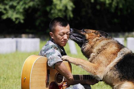 三国时有军犬吗