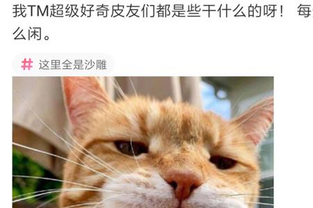 女生说我家猫生了怎么回复啊