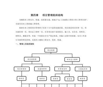 项目管理组织的主体为