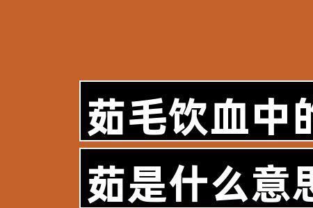 形容生吃血肉的成语