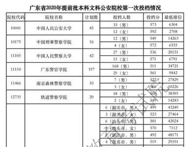 2020本科一批第一次模拟投档时间