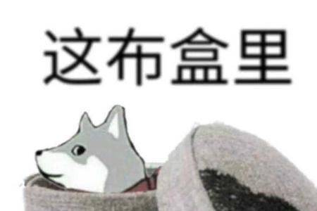 为什么没有道理怎么回复