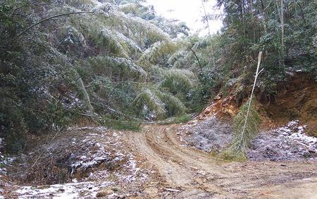 山上的林道算是公路吗