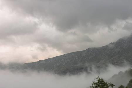 亚高山和高山的区别