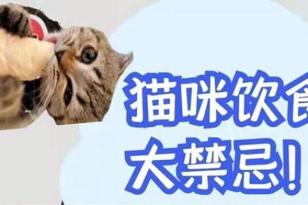 猫咪十大禁忌水果