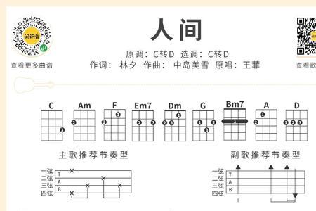 王菲的人世间歌词