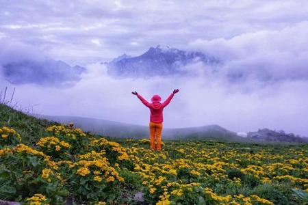 游历人间是什么意思