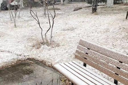 凋零雪花结局