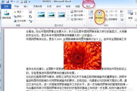 word隔行插入已复制的内容