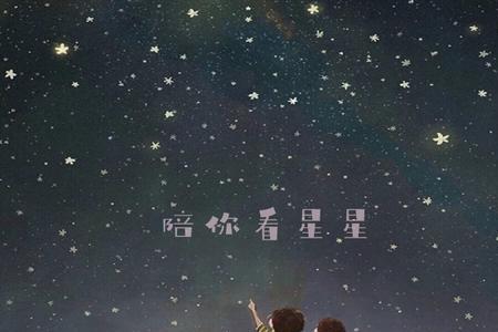 歌词有看星星看月亮的是什么歌