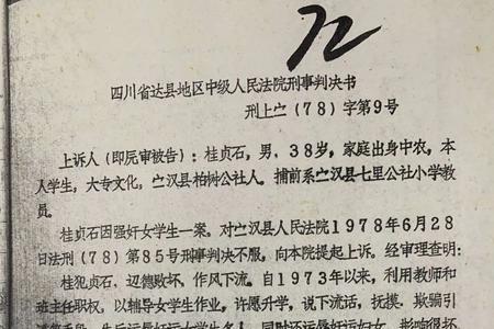 有期徒刑9个月是什么意思