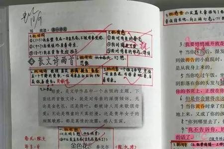 最好的我们图书馆批注是谁写的