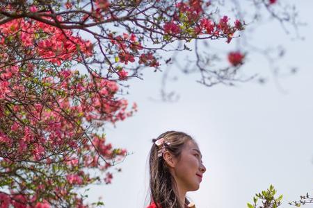 漫山遍野红花开指什么生肖