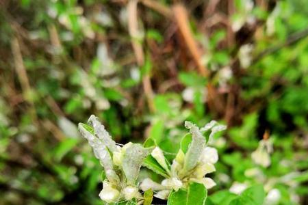 听似天方夜谭实则雾里看花解释