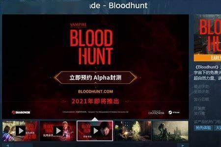 bloodhunt启动错误