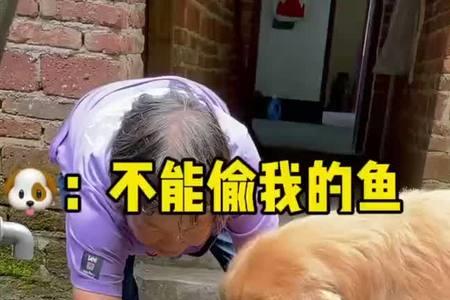 鱼仰泳但没死怎么救