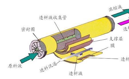 滤过膜由哪几层结构组成