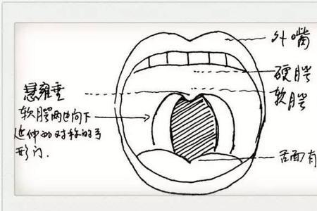 唱歌怎样解决舌根拱起