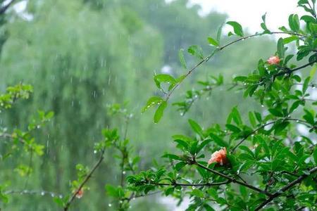 梅雨的反义词