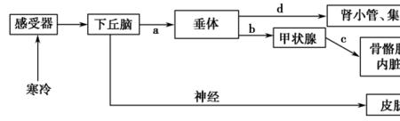 生命三大原理