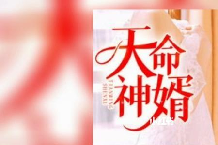 麻衣神婿这个小说好看吗