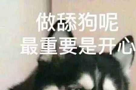 女生发狗的表情是什么意思