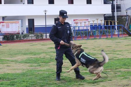 目暮警官为什么叫警犬