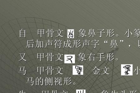 从造字方法上看，典是什么字