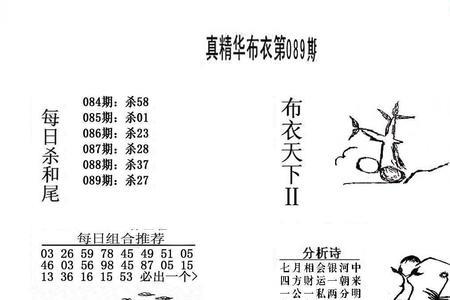 布衣小童家为啥盖简易房