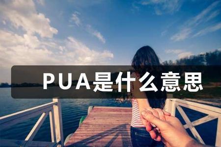 pus什么意思网络用语