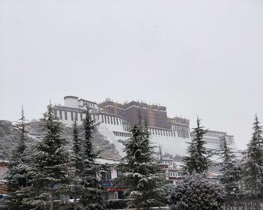 每当天空飘起雪花是什么歌