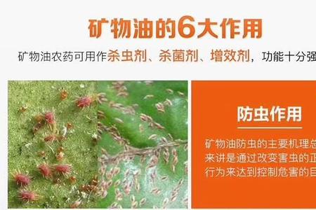 白僵菌与绿僵菌可以杀红蜘蛛吗