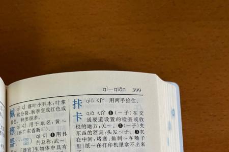 得过且过用字典怎么查